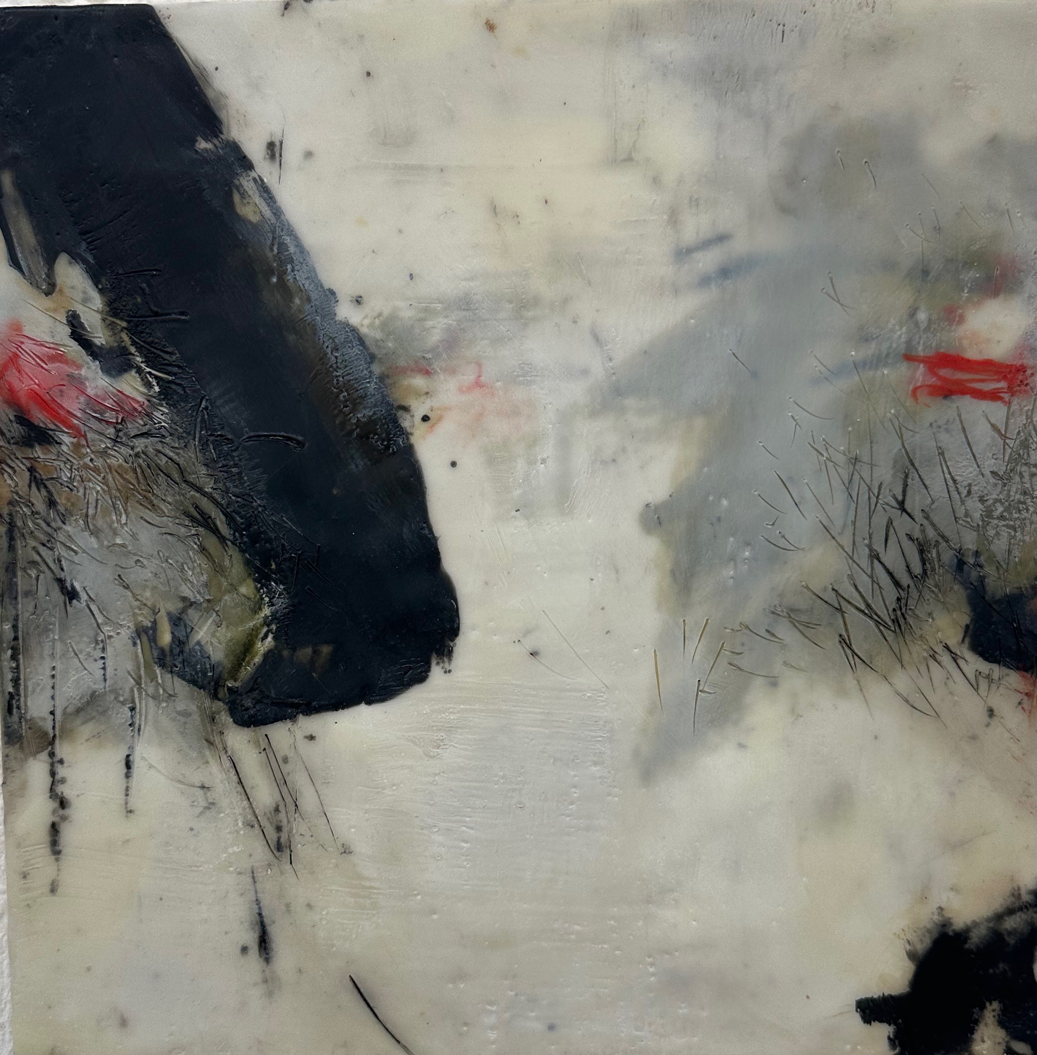 Margrit Schranner